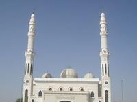 Ensuring Long-Term Security of the Homeland